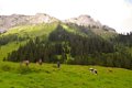 21 nur noch ein kleines Stueck vor uns der Langstein mit der Langsteinhoehle